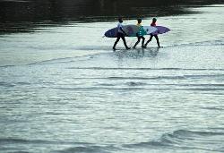 Tofino Surfboards